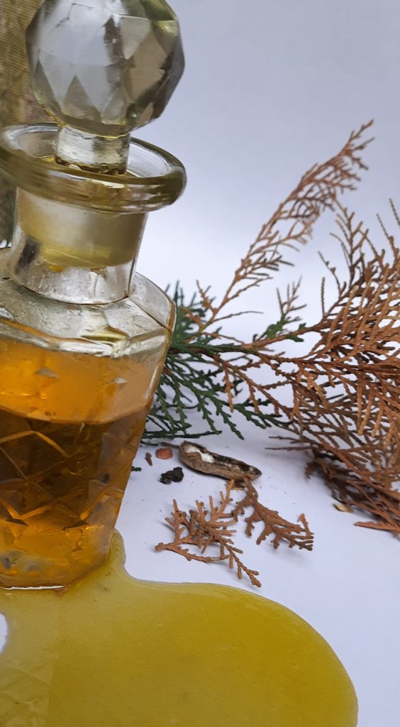 OIL from Himachal 