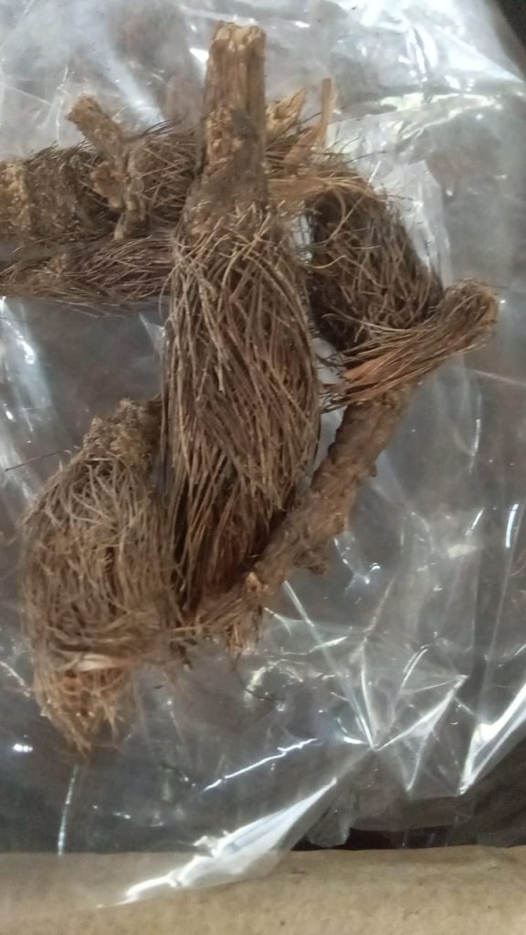 Buy herbs online India”