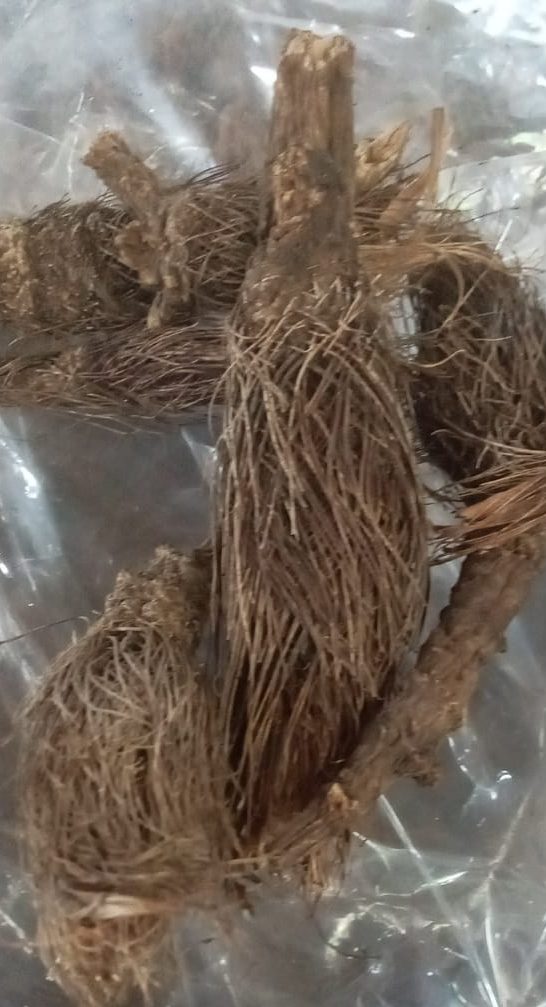 Buy herbs online India”